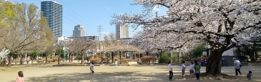 ほぼ毎日公園あそび_cocom Lab 大宮教室